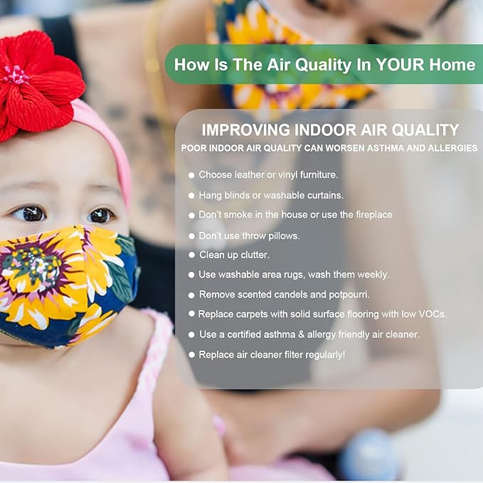 (2) MD1-0022 True HEPA Filter with (4) MD1-0023 Activated Carbon Pre-filter, Compatible with Vornado Air Purifier Model AC300, AC350, AC500, AC550, PCO200, PCO300, PCO375DC, PCO500, PCO575DC