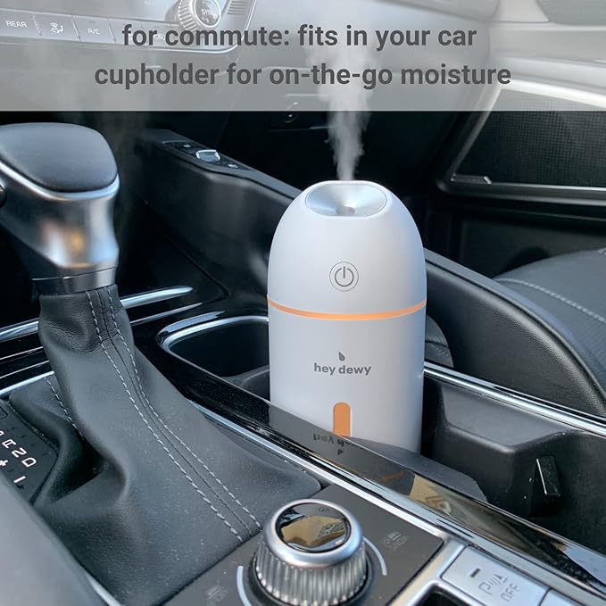 Hey Dewy Wireless, Rechargeable, Self-Care, Skin-Nourishing, Hydrating, Portable Cool Mist Humidifier (Blush)