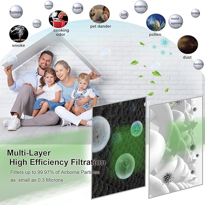 (2) MD1-0022 True HEPA Filter with (4) MD1-0023 Activated Carbon Pre-filter, Compatible with Vornado Air Purifier Model AC300, AC350, AC500, AC550, PCO200, PCO300, PCO375DC, PCO500, PCO575DC